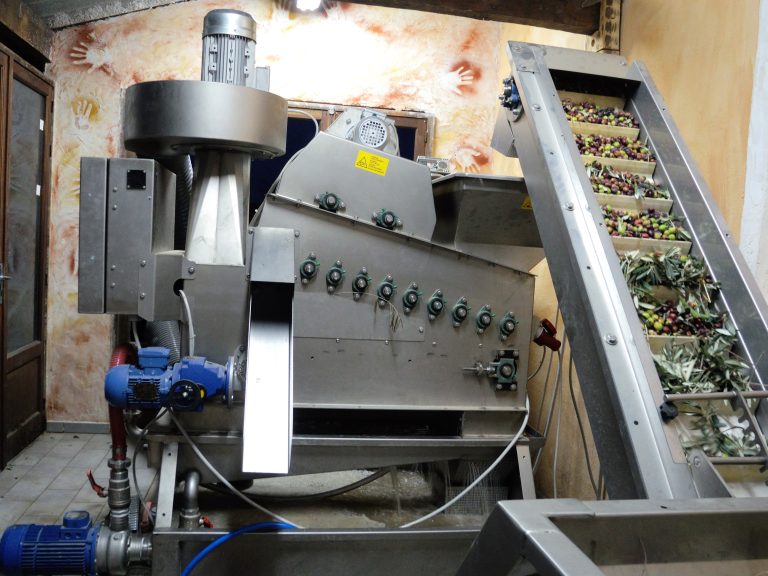 Comment est fabriquée l’huile d’olive au moulin ? De l’olive à la bouteille au Domaine Pontet-Fronzèle