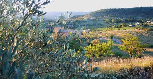 Domaine Pontet Fronzèle, vue depuis les oliviers