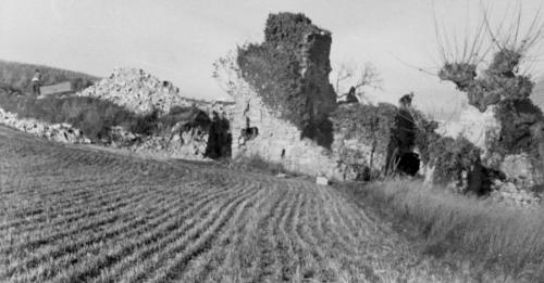 Domaine Pontet Fronzèle, les restes du mas en 1983, réduit à l'état de pierrier depuis 1914