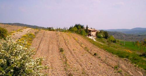 Domaine Pontet Fronzèle, préparation de sillons pour la plantation d'oliviers
